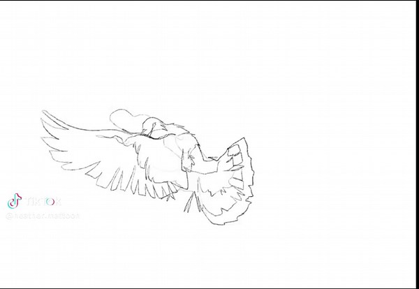 bird animation made approx 2020 each frame hand drawn #fly | bird