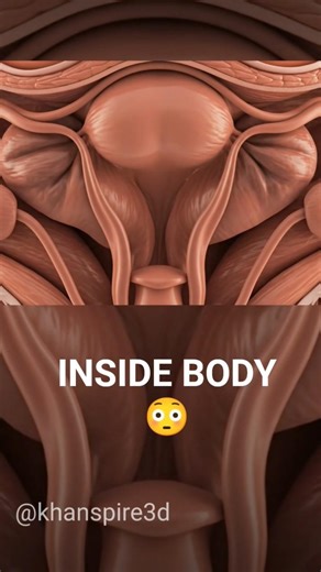 99% People Don’t Know This 😳 | White Fluid Inside Body#medicalanimation #shortsviral 🌿
