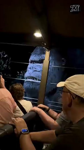 5 oldest animals on earth | The Animal Collective