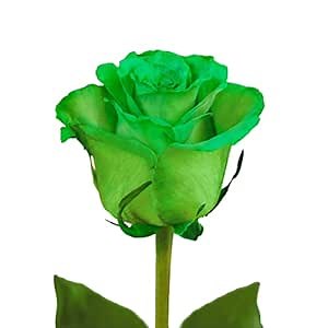 Farm Fresh Natural Tinted Green Roses - 20 in - 50 stems