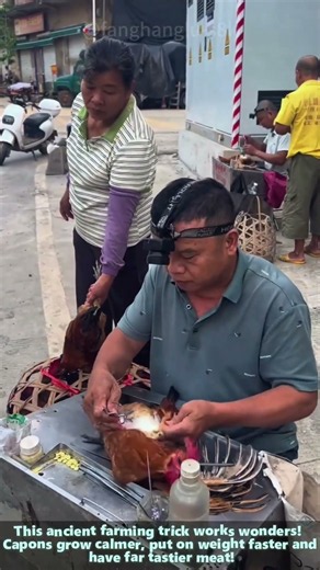 Traditional Craft: Caponizing Roosters at Rural Chinese Market