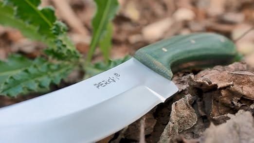 d15b91f998284ce2adbaa968f329723e