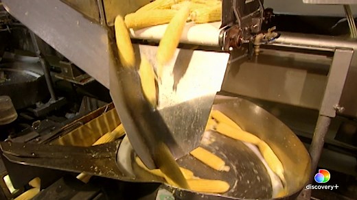 960K views · 15K reactions | How canned corn is made…  Stream #HowItsMade on discovery+ for more. | Science Channel | Facebook
