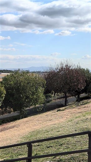 2026/1/14 伊丹スカイパーク北端大空の丘JAL2153便エンブラエルE190(JA245J)青森行き 離陸 #伊丹空港 #伊丹スカイパーク #大阪国際空港