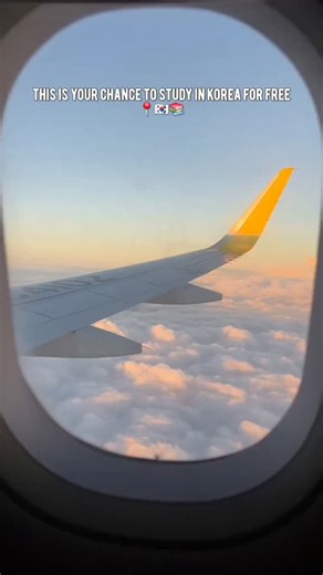 maria on Instagram: "How to apply to the GKS (Global Korea Scholarship): 1) Check the official notice at the website: studyinkorea.go.kr 2) Choose your track: Embassy OR University Track 3) Prepare all required docs: transcripts, diploma, essays, recommendation letters etc 4) Deadlines depends on your country. DO NOT MISS THE DEADLINE! 5) if you pass 1st round → interview + final selection by NIIED Save this post for later & share with a friend who dreams of Korea! Got any questions, drop em in