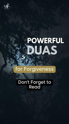 3 Powerful Duas for Forgiveness | Islamic Reminder 🤲