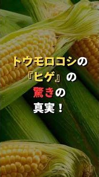 ひげを捨てたら損？知られざる「トウモロコシの真実5選」 #モエチャン #野菜は植物 #雑学