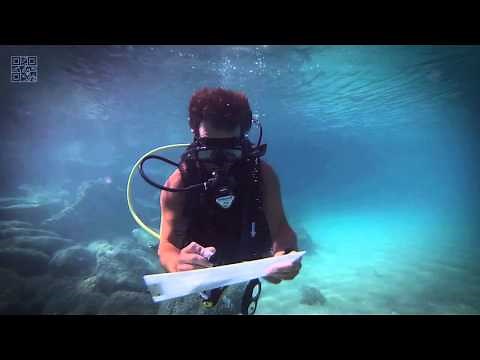Happy Birthday Underwater Greetings!