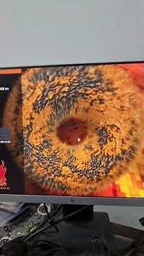 Nvidia Quadro M2000 4GB Graphics Card FPS Benchmark Test #fps #benchmark #pc