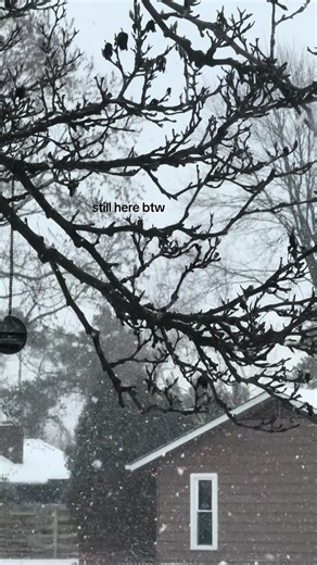 about to start my 5th rewatch 😭 help #fyp #heatedrivalry #heatedrivalryrachelreid #ilyarozanov #ilyaandshane