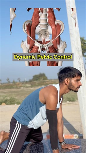 Fix Pelvic & Back Pain Fast ⚡ Dynamic Exercise Routine ✅ #shorts #backpain #exercise