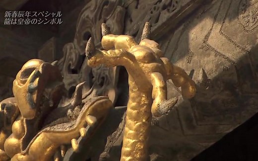 TBS 记录片《THE 世界遗产2012》龙年特别节目 北京和沈阳的故宫