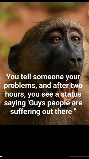 16 reactions · 23 comments | You tell someone your problems, and after two hours, you see a status saying 'Guys people are suffering out there " | Contents And lifestyle | Facebook