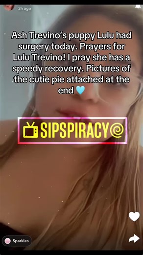 Prayers for Lulu: Ash Trevino’s Puppy Surgery Update
