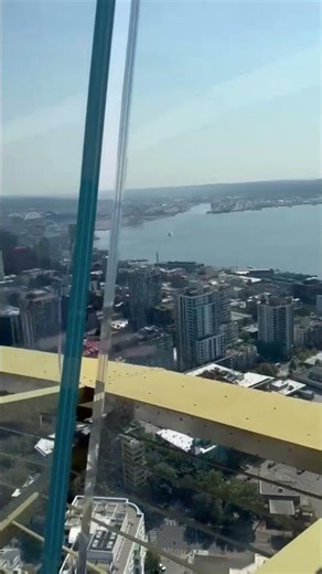 Walking on Air: The Space Needle's Glass Floor! 🏙️