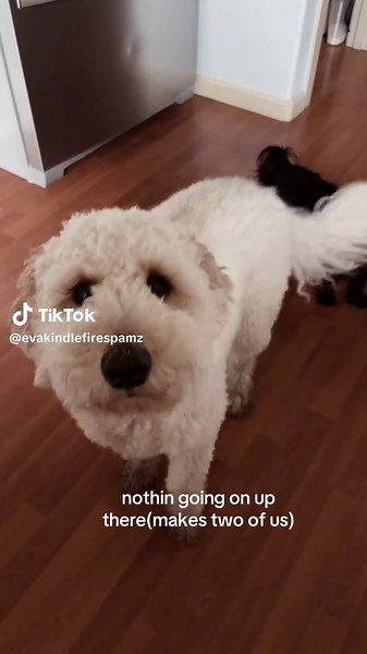 Reflections on Mindset and Decision-Making