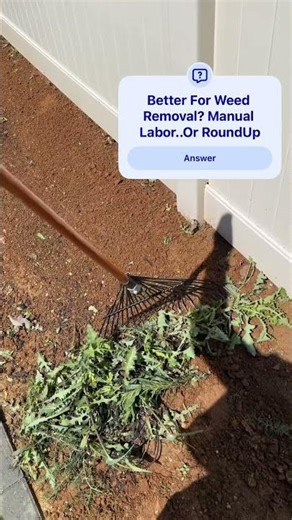 Weed control #lawncare #grass #contractor #marketing