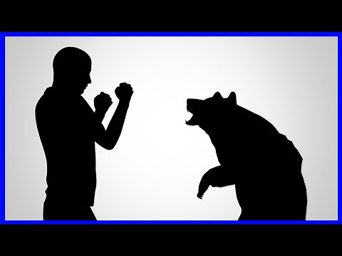 How To Survive A Bear Attack