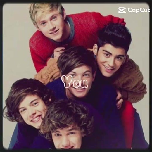 HOME💚💙🇮🇪❤💛 #onedirection #harry #louis #niall #liam #zayn #1d