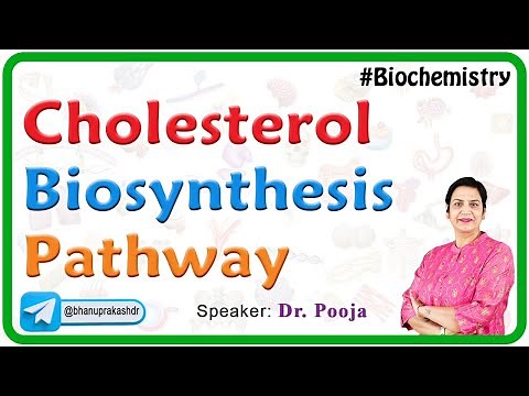 Cholesterol Biosynthesis Pathway - Biochemistry