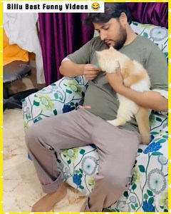 203K views · 8.8K reactions | Billu Funny Videos  Animal Funny Videos 藍 #viralvideoシ #billucomedy #catfunnyvideos #viralcat #facebookviral #comedy #catvideo #funnyvideos #catlovers #viralcomedy #comedyvideos #funny #comedy #animalfunnyvideo #nighttimephotography #mobilephotography #naturalwonders #midwest #betrayal #shortstory #chicken #thanksgiving #santa | King Billu | Facebook