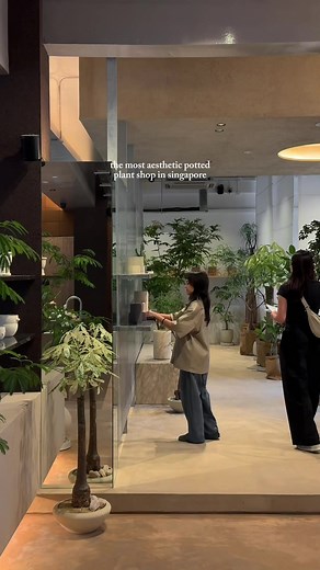 Discover Soilboy: The Aesthetic Plant Shop in New Bahru