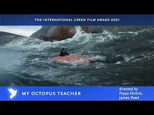 My Octopus Teacher Trailer | Cinema for peace 2021