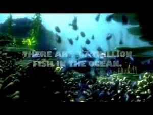 A Turtles Tale 3D Trailer