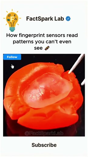 How Fingerprint Sensors Detect and Recognize Your Unique Fingerprint