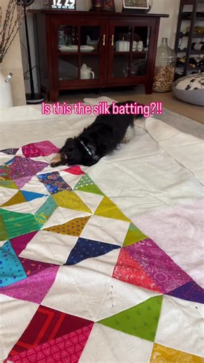 Ok. Rainy days, dogs and basting do not belong together. Live and learn. I’m lol | Dizzy Quilter