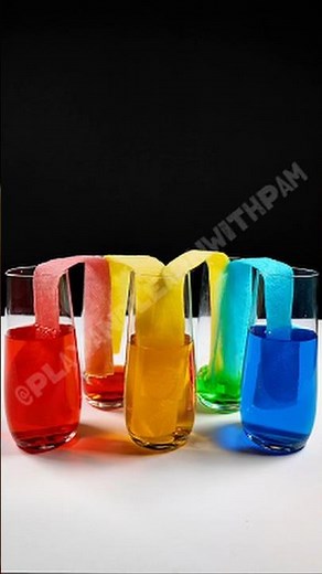 Walking Water Experiment 🌈 Watch Colors Move!