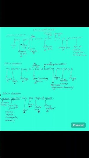 Organs formed from germ layers #shorts #biology #tranding