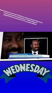 Miseensoonni mana marii bakka bu'oota ummataa Naannoo Oromiyaa mariin mootummaa fi WBO jidduutti gaggeeffame ummataaf ifa ta'uu qaba jadhan | Oromia Media Oromo
