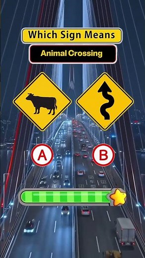 Learn road signs, traffic rules & pass your test in 2025. 🚗💨\n#DrivingTest #RoadSigns #DrivingQuiz”