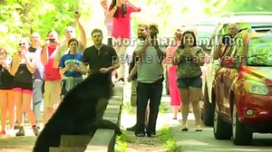 40K views · 1.6K reactions | Happy 82nd birthday to the Great Smoky...