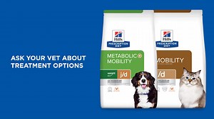 Did you know that hydrotherapy can be incredibly beneficial for dogs with mobility issues? It’s one of the treatment options available. Ask your vet about how the right nutrition can help. Hill's Prescription Diet Mobility food is clinically proven to help improve a pet's mobility in as little as 21 days. Visit www.HillsMobility.co.za to learn more. | Hill’s Pet Nutrition