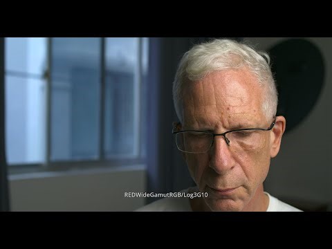 Timeline Color Space: ACES, RWGRGB/Log3G10 or DWG? (HDR)