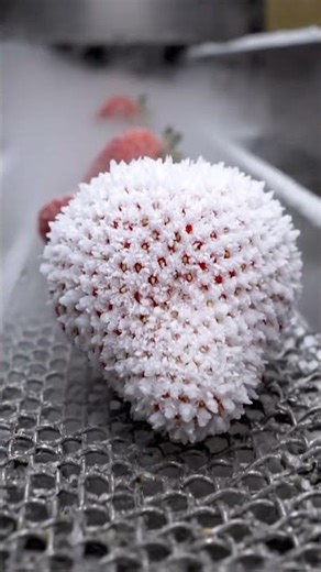 Instant Freeze! | Advanced IQF Strawberry Technology | Freshness Locked at