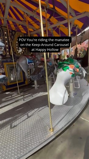1.9K views · 18 reactions | Which animal do you choose on the Keep-Around Carousel? Take a moment to ride the manatee!  | Happy Hollow Park & Zoo | Facebook