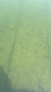 Talk about a kick in the nuts | Josh Jones Fishing