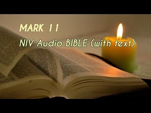 Mark 11 : NIV Audio BIBLE (with text)