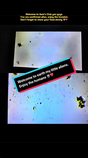 Oh welcome to earth my little alien friends, you are confirmed. Today’s March 1, 2026 let the invasion begin. #aliens.#water#a bottled water#alien invasion. #ufo. Today is March 1, 2026 please welcome our friends to earth again they are very small but they get a lot a lot larger. See my previous videos.