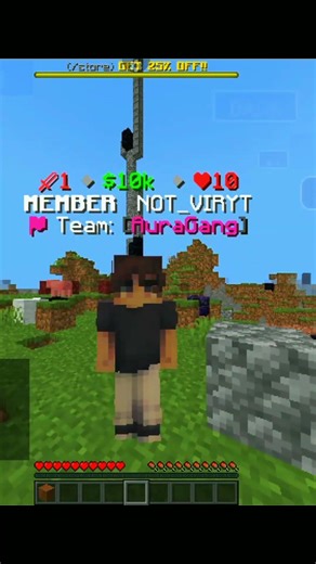 JOIN THE BEST PUBLIC TOKEN SMP 💥💀 (SHULKER MC) #shorts #minecraft