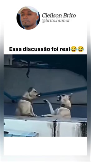 Cleilson Brito | Viral | O texugo-do-mel (Mellivora capensis) é um dos casos mais fascinantes de adaptação evolutiva na natureza. Ele é famoso por enfrentar algumas... | Instagram