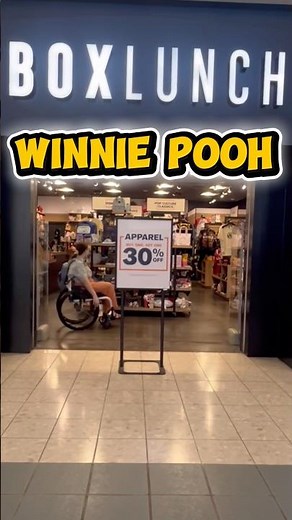 NEW WINNIE the POOH collection #Disney #Disneycollector