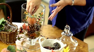 A simple and inexpensive way to decorate for the seasons, is to use containers that you already have in your home and fill them with seasonal items. Here are a few tips for harvest decorating! https://qvc.co/valerieparrhillfb | Valerie Parr Hill