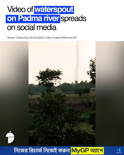 105K views · 1.9K reactions | More details in the comment section. | Nutshell Today | Facebook