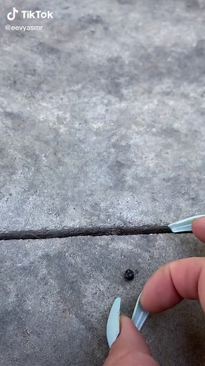 Eek my nails are falling off lol #asmr #asmroutside #eevyasmr #eevy #asmrvideo #asmrsounds #asmrtiktoks