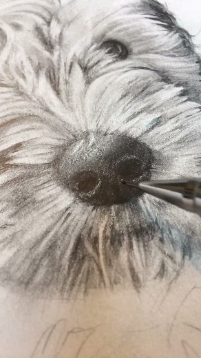 Wait to the end to see and the drawing! 🐶 #dogdrawing #virał #foru #foruyou #foryourpage #pencil #realism #dogdraw