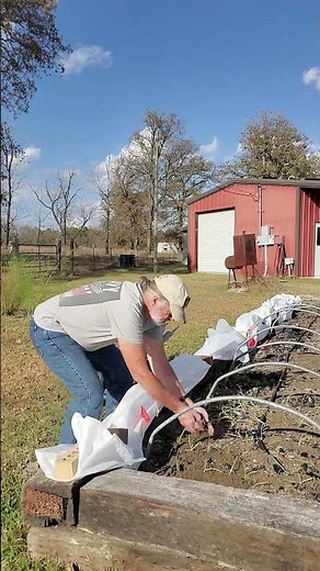 What are the benefits of adding compost to raised bed gardens? Find out!